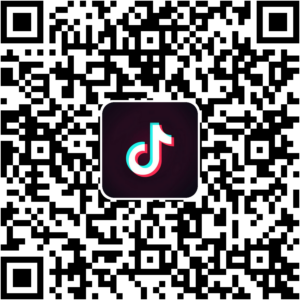 抖音小程序